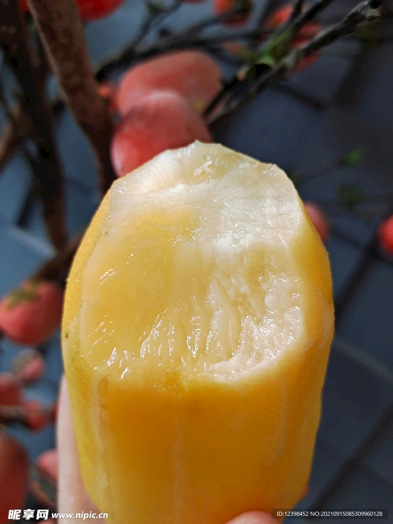 雪莲果