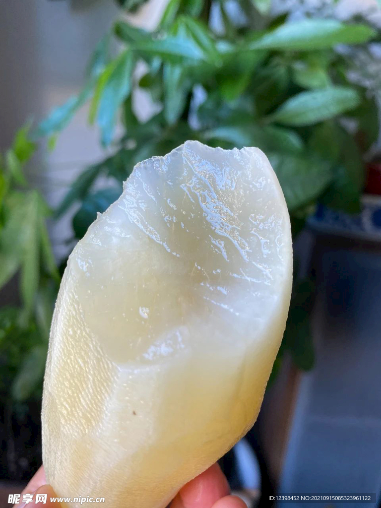 雪莲果