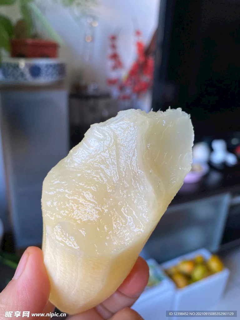 雪莲果