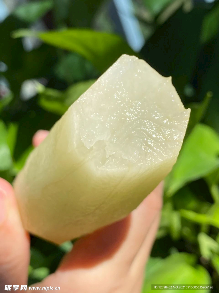 雪莲果