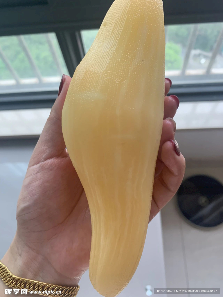 雪莲