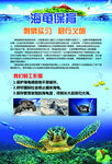 海龟保育
