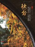 金色简约秋天二十四节气秋分海报