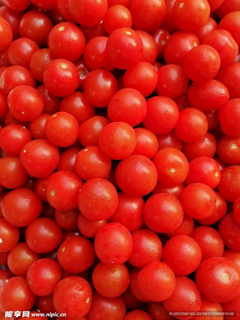 红色小番茄 西红柿 圣女果 