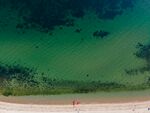 海