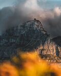 山