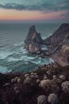 海
