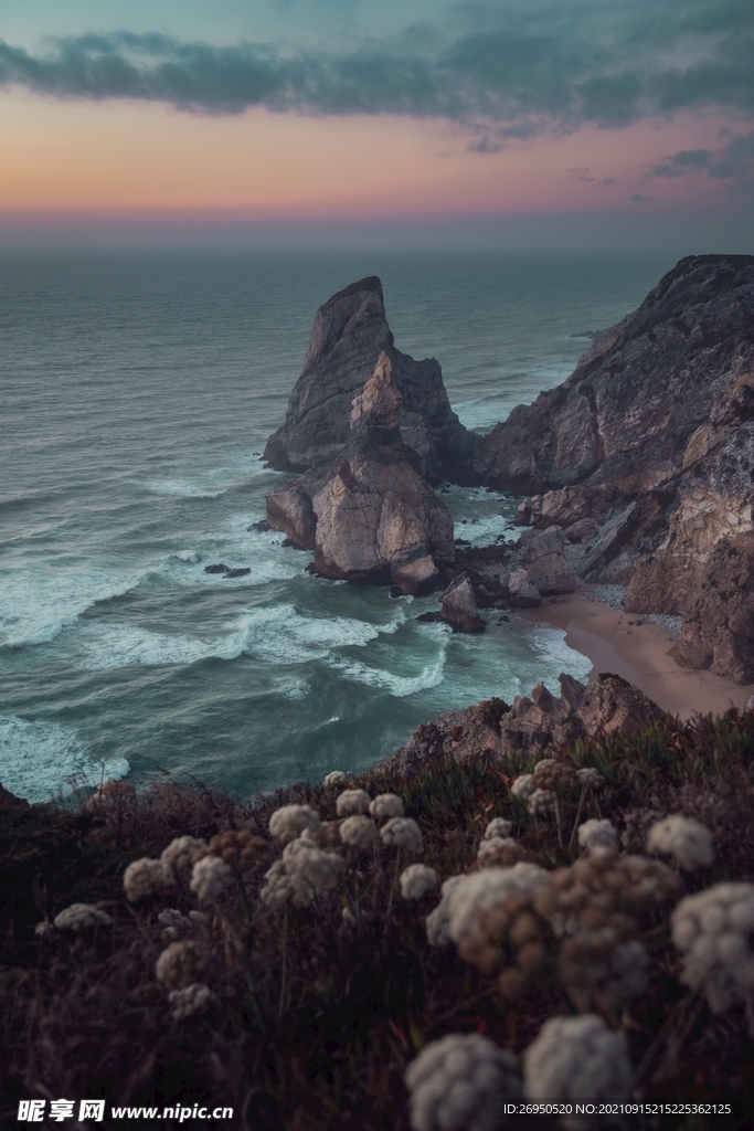 海