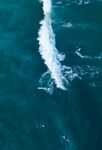 海