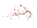 梅花素材 