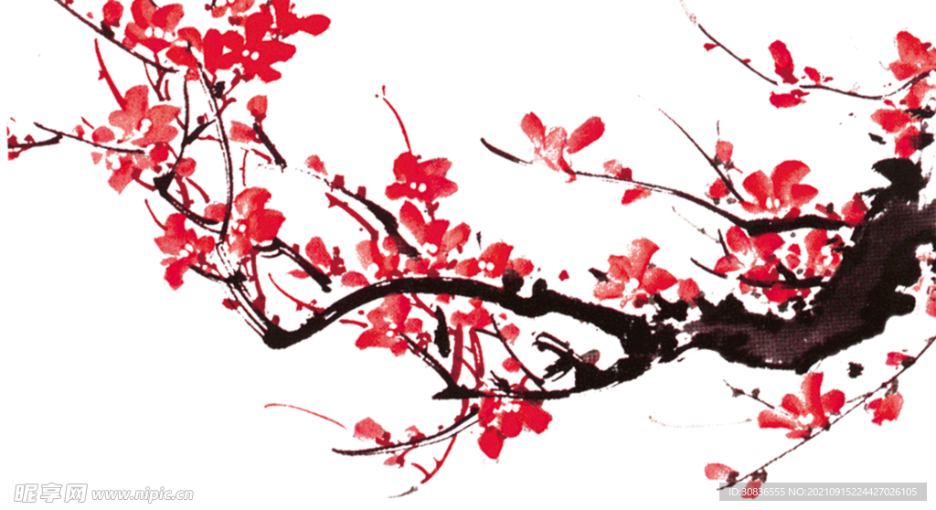 梅花素材 