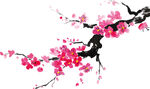 梅花素材 