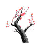 梅花素材 