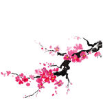 梅花素材 