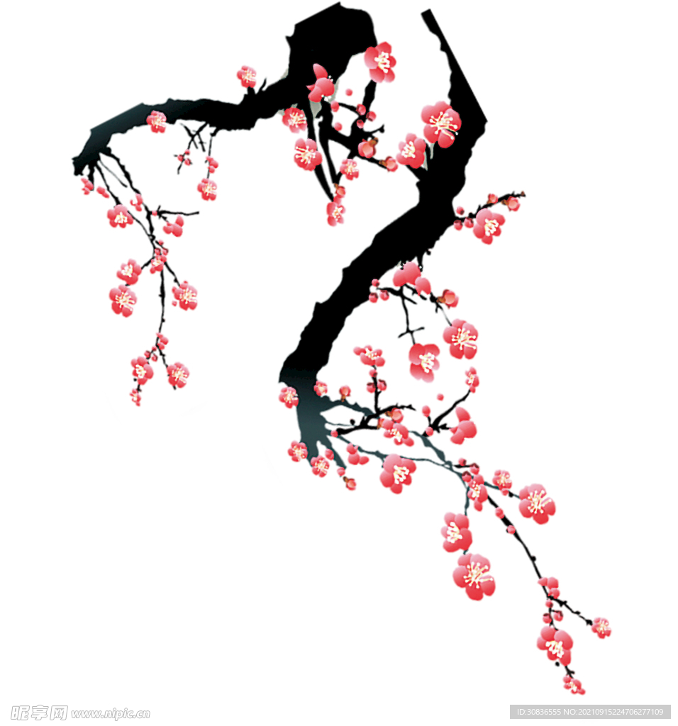 梅花素材 