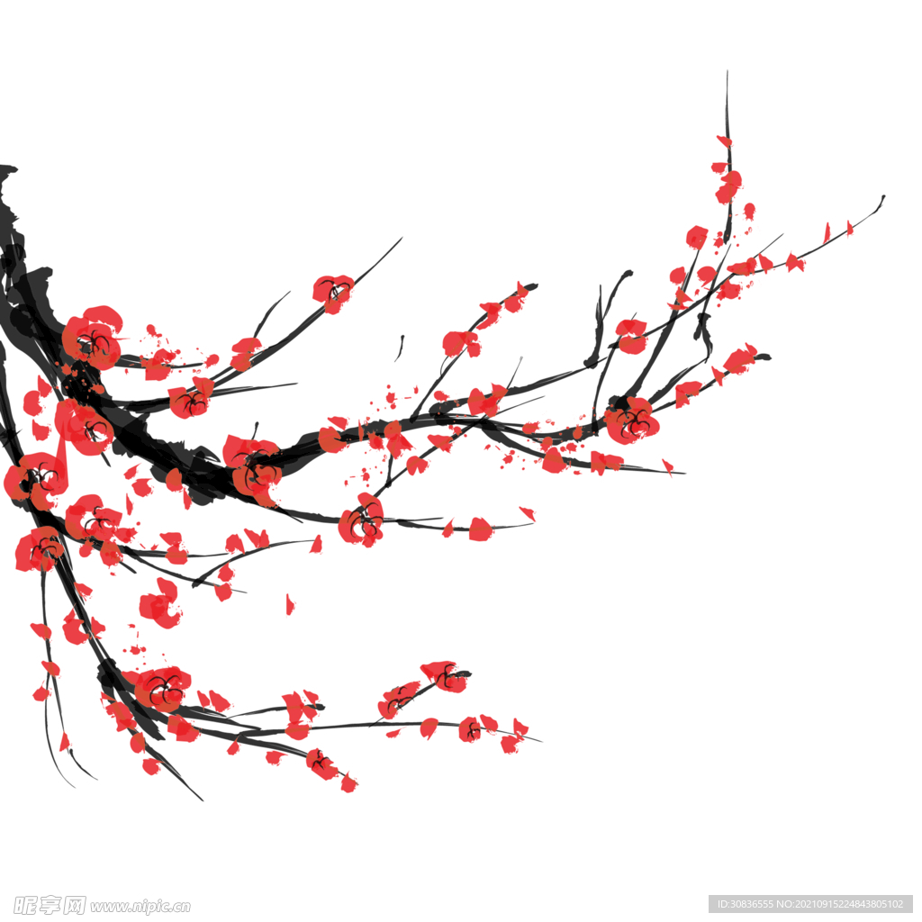 梅花素材 