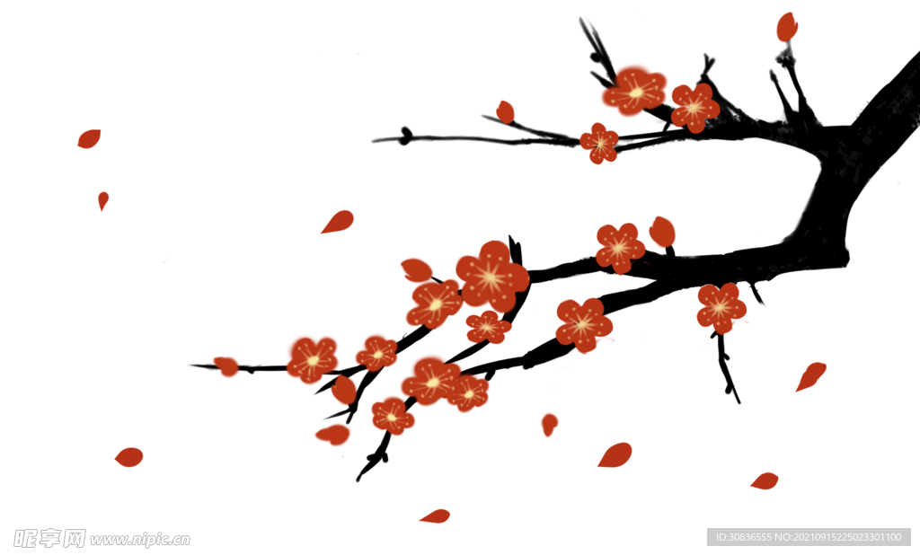 梅花素材