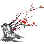 梅花素材 