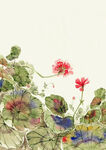 荷花插画海报图片 