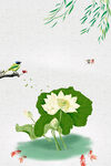 荷花插画海报图片 