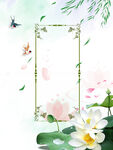 荷花插画海报图片 