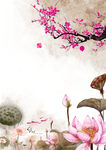 荷花插画海报图片 