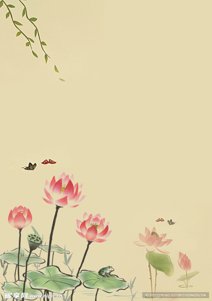 荷花插画海报图片 