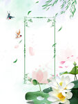 荷花插画海报图片 
