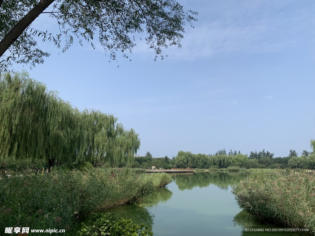 植物园