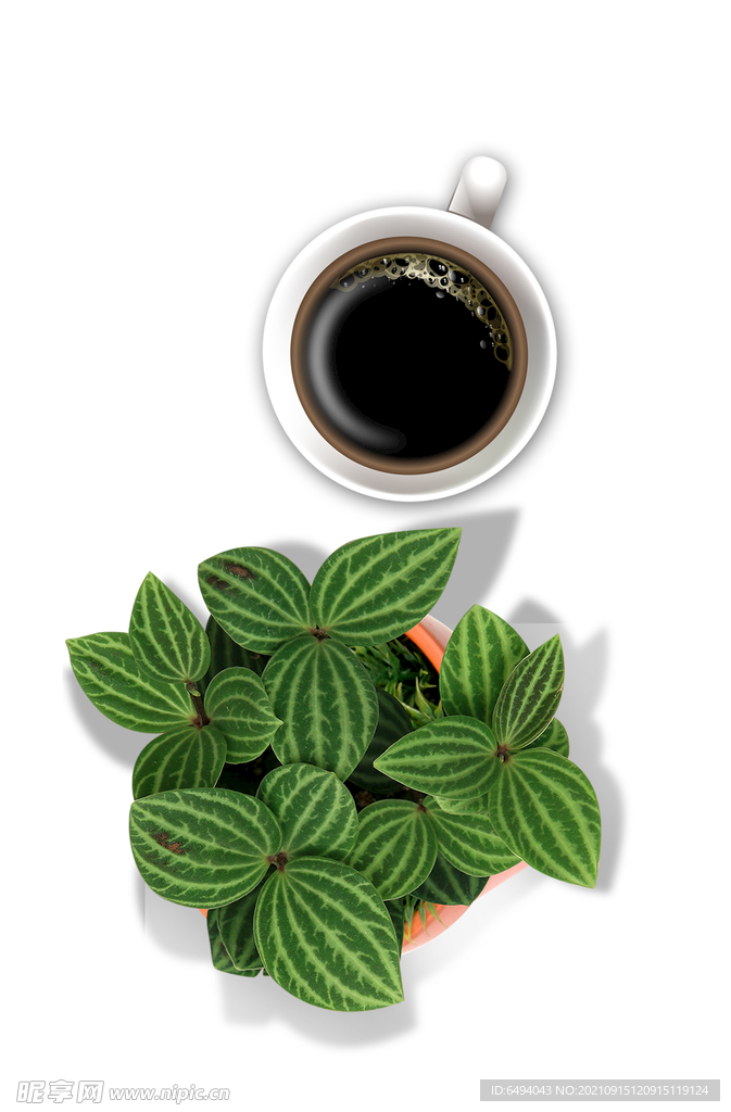 绿植咖啡生活