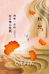 秋分