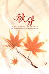 秋分