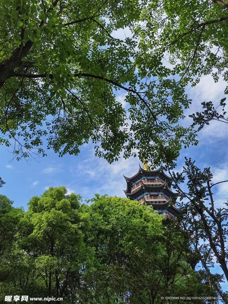 寺庙 