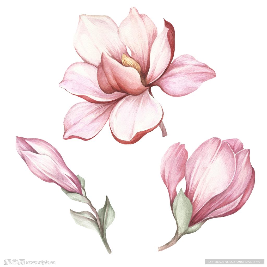 手绘花