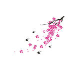 梅花