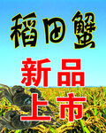 稻田河蟹 