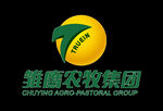 雏鹰logo