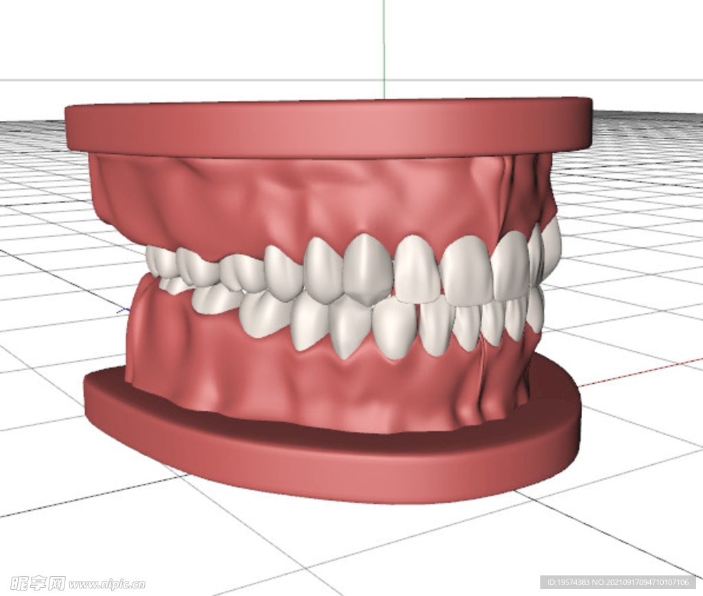 C4D模型假牙带动画