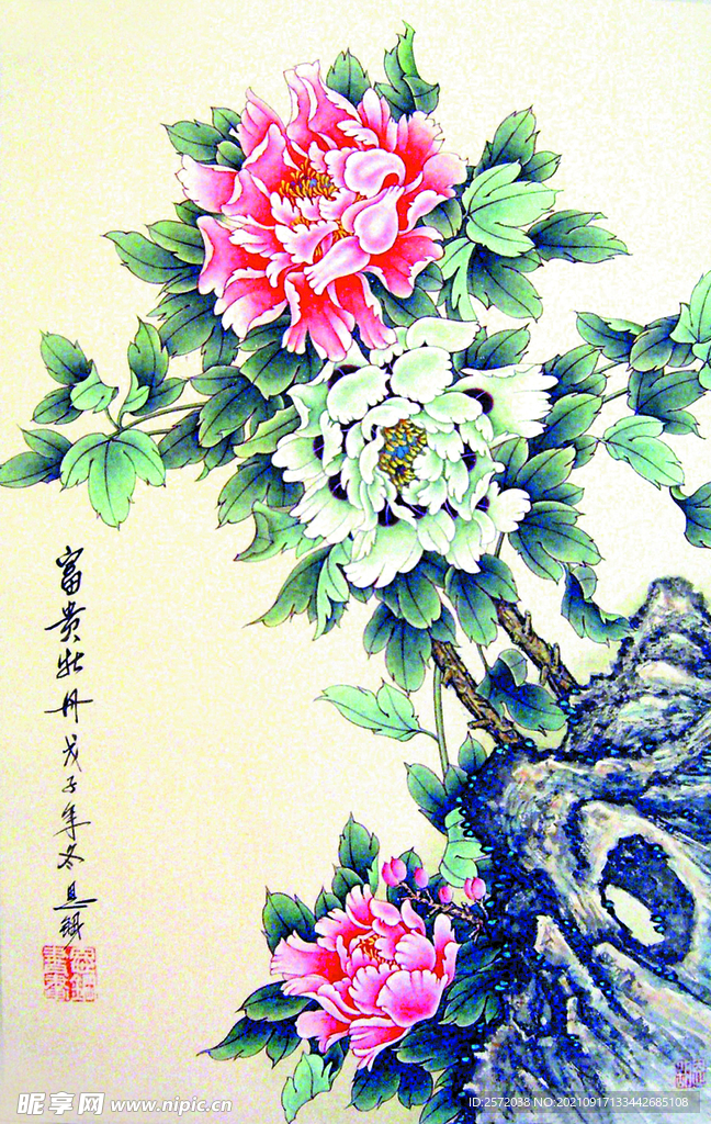 富贵牡丹
