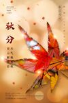 秋分