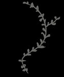 手绘花png