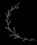 手绘花png