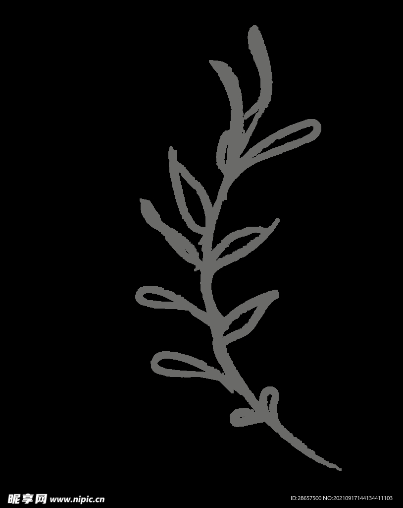 手绘花png