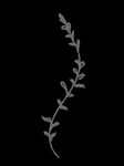 手绘花png