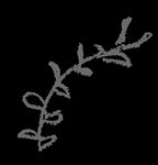 手绘花png