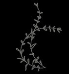手绘花png