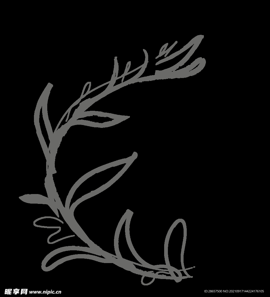 手绘花png