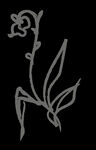 手绘花png