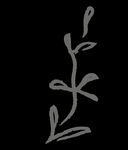 手绘花png