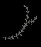 手绘花png